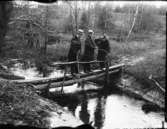 Tre herrar, fiskar från enkel träbro över en bäck.