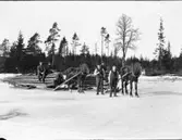 Olof Jonssons text: Körare och huggare från Brevik. Gårdarna i Brevik sambrukades innan laga skiftet, här har man huggit timmer i skogen och forslar hem det efter var sin kälke och häst. Karl Johansson, Hjärtum 1888-05-14, hans far Johan Pettersson, Hjärtum 1868-08-01, Rikard Johansson, Väne Ryr 1879-02-20, hans far Johannes Andersson, Ödeborg 1851-02-08, och Johannes son Ivar Johansson, Hjärtum 1891-04-12