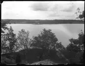 Ångssågen i Vadbacken, Öresjö. Ramsåg och dubbelt kantverk. Det hela drevs med en 42 hk lokomobil. Sågverket fanns här mellan åren 1918-1941.