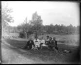 Sex ungdomar som har picknick i gräset (se bild 0144)