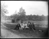 Sex ungdomar som har picknick i gräset (se bild 0144)