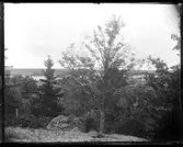 Vy över Källesjö vid Källegren