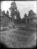 Nils, Hjärtum 1918-01-09, Erik, Hjärtum 1919-07-26, Sven, Hjärtum 1915-05-14, stående på framför tillbyggnaden på ladugården. I förgrunden syns nysatta fruktträd.