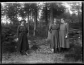 Okänd, okänd, Hilda Johansson, Hjärtum 1900-04-27, i skogen i Brevik.