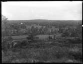 Vy med den gamla och nya ladugården på Arnstorp i bakgrunden. I förgrunden står Sven, Hjärtum 1915-05-14, Nils,Hjärtum 1918-01-09, Erik, Hjärtum 1919-07-26, Olga, född Olsson, Forshälla 1891-05-12.