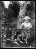 Hunden Sonja och Sven, Hjärtum 1915-05-14