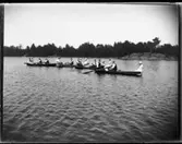 Olof Jonssons text: Provplåtar tagna med Svensk Express no 6. På bilden syns fyra ekor på Öresjö med ungdomar