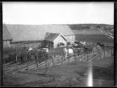 Familjen Larsson i Skottene.

Framför ladugården i Skottene med hästar och kor. Gunnar Larsson,  Väne-Ryr 1889-06-13, Olof Larsson, Väne-Ryr 1884-10-13, Nils Larsson, Väne-Ryr 1901-07-03, Rut Larsson, Väne-Ryr 1905-07-16, Änkan och modern Anna Kajsa Andersson Väne-Ryr 1862-01-17, Sten Larsson, Väne-Ryr 1896-02-22, John Larsson, Väne-Ryr 1893-11-16