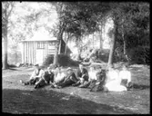 Ängen under Stenshult, gruppbild