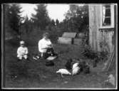 Valdemar, hunden Sonja, Olga, född Olsson, Forshälla 1891-05-12 med sonen Sven, Hjärtum 1915-05-14, sitter i gräset och tittar på hönsen.