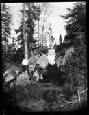 Erik, Hjärtum 1919-07-26, Olga, född Olsson, Forshälla 1891-05-12, Sven, Hjärtum 1915-05-14, Nils, Hjärtum 1918-01-09, i skogen.