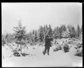 Okänd jägare i snölandskap, bilden tagen 20 december 1907
