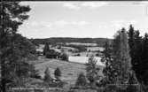 Fröskog med Kristinedals Herrgård i bakgrunden