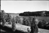Skåpafors. Utsikt från Herrgårdens Gästhem