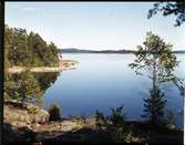 Sjövik  Sjön Mjörn