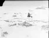 Strandskata i boet och två gående