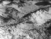 Dununge av skärfläcka