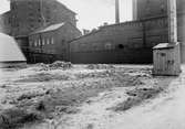 Kläckningsterräng för Tofslärka(Alauda cristata) Malmö hamn-område 26 Maj 1917.