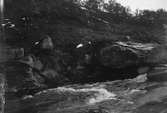 Boplats för strömstare (Cinclus aquaticus) boet under snöfläcken i mitten av bilden. 18 juni 1911.