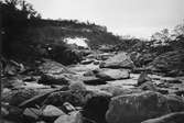 Biotop för strömstare (Cinclus aquaticus) 18 juni 1911.