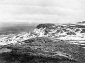 Fjällvråk, Buteo l. lagopus. Biotop för fjällvråk. Boet ytterst och överst på bergsklinten, 17/6 1901