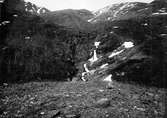 Kungsörn, Aguila c. chrysaetos. Boplats för kungsörn, boet i nedersta branten till vänster om forsen, 17/6 1904