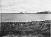 Biotop för skärsnäppa, Tringa maritima, Utsigt mot norr över Norra Bunnersjön, Jemtland 27/ 1937