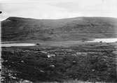 Biotop för skärsnäppa, Tringa maritima, Från vester ses norra och södra Bunnersjöarna, Jemtland 27/ 1937