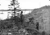 Boplats för drillsnäppa, Actitis hypoleucos,                                  Vittsö, Skåne                                 (boet framför mannen)