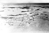 Biotop för större strandpipare (Aegialites hiaticula) 13 Maj 1930.