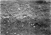 Bo för större strandpipare (Charadrius hiaticula) 9 Maj 1904.