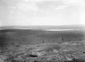 Biotop för Fjällpipare, Utsikt från boet, 19/6 1914