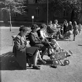 På parkbänkar sitter kvinnor, en del med sina barn och en del sysslar med sitt handarbete.