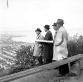 Generalplanskommittén tittar på utsikten över Huskvarna från utsiktsberget år 1956.