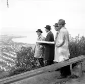 Generalplanskommittén tittar på utsikten över Huskvarna från utsiktsberget år 1956.