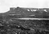 Häckningslandskap för Fjelllabb, Lestris Bufforni, bo vid västra änden av sjön,