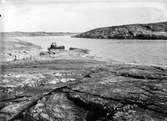 Biotop för Labb, Lestris Parasitica. 8/6 1937