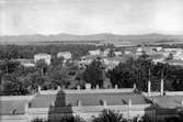 Biskra mot vester från hotellterrassen 1910