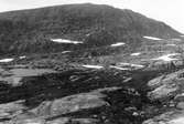 Biotop och boplats för skärsnäppa, Caldris maritima                                  Sjaule, Kalls s:n Jämtland 24/6 1939  Foto N. Nilsson