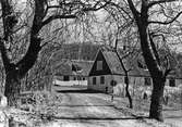 På Kulla, påsk 1950. Kullagårdens annex