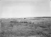 Tåkern i bakgrunden, 16 maj 1917
