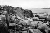 Ön torrmulen i Norstens skärgård,Ornö socken(utanför dalarö). Branten och blockruset på s. sidan av ön.Kanske den största häckplatsen för tårdmule(>300 fåglar) i hela Stockholms skärgård. Foto E.Wibeck d. 12 juni 1938