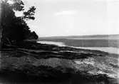 Våndsjön från södra stranden. 2 juni 1939