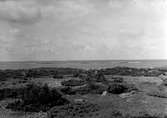 Utsikt mot Orskär från Hallands Väderö 28 juni 1931.