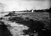 Häckningsterräng för tofslärka. 26 maj 1917.