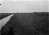 Biotop för storspov, Numenius arquata. 10 maj 1906.