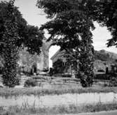 Svenneby gamla kyrka