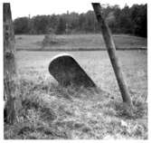 Södra Härene sn, Den omkullfallna gränsstenen vid Edsveden,  Foto: Gustaf Ewald, Vänersborgs Museum 1950 neg 1266