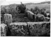 Södra Härene sn, Vadebacken , Sveriges största hällkista 1922,  Foto: Gustaf Ewald, Vänersborgs Museum