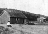 Soldattorpet Ljunghem, SIENE 1905
Gåva av Åke Karlsson, Siene